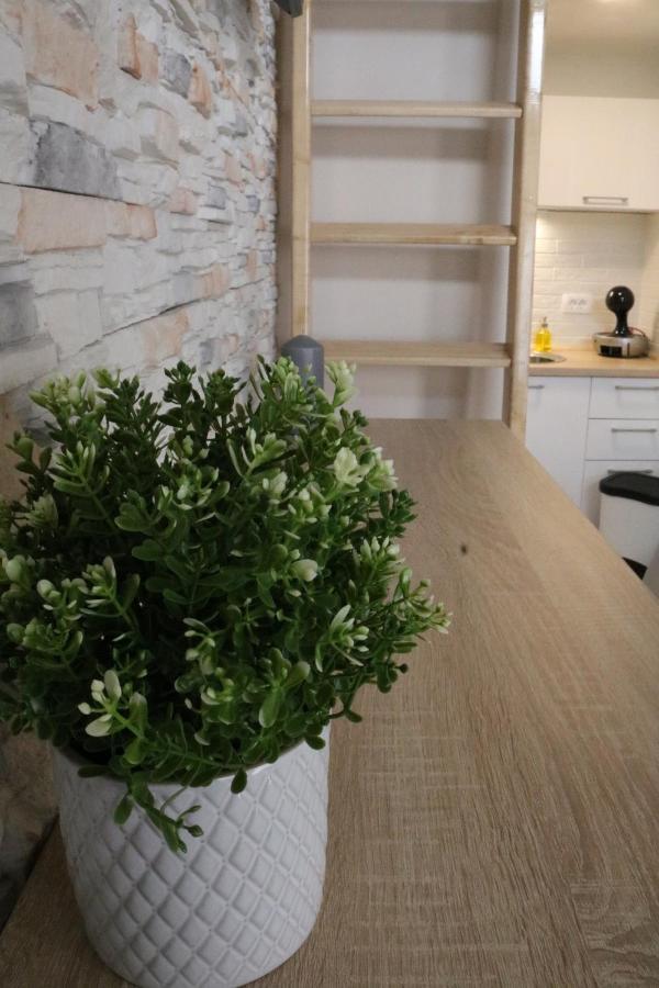 Studio Apartman Chiara Zagreb Exterior foto